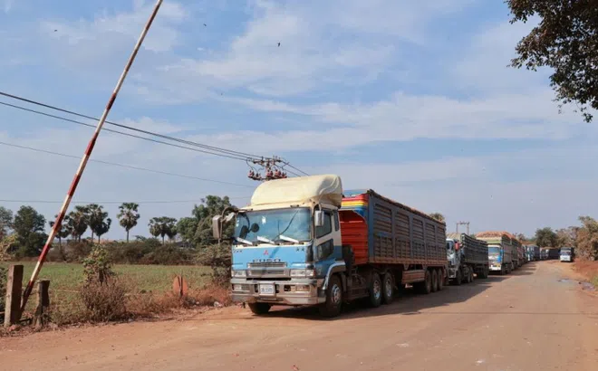 Ùn ứ 700 lô hàng nông sản, thực phẩm nhập khẩu, Bộ Nông nghiệp và Môi trường lên tiếng