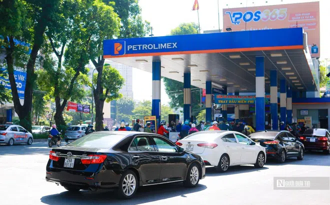 Cuối năm 2025, Petrolimex có hơn 28.500 tỷ đồng tiền mặt và tiền gửi ngân hàng