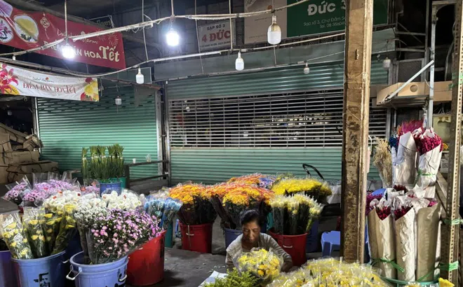Hình ảnh khác lạ tại chợ hoa sỉ lớn nhất TPHCM trước Tết