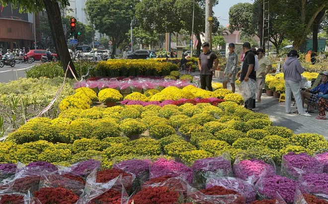 Không còn cảnh hét giá, người dân TPHCM tấp nập đi mua hoa Tết sớm