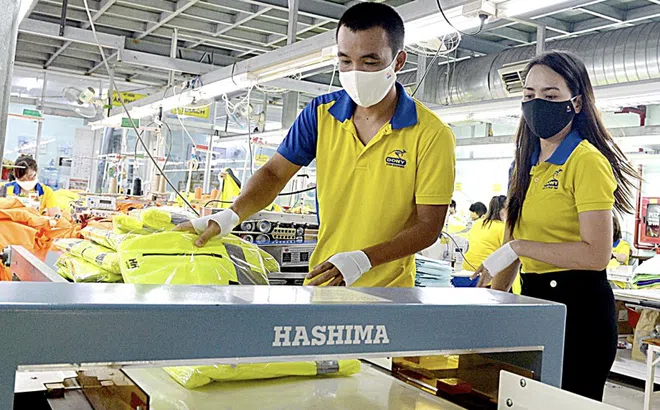 Phát triển kinh tế tư nhân: Tạo cơ hội và nâng cao chuẩn mực cho SME Việt Nam