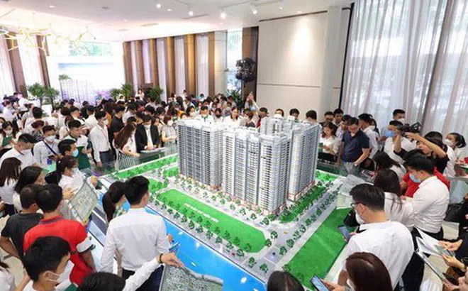 Từ 1-3-2026 chính thức cấp mã định danh điện tử bất động sản và người môi giới bất động sản