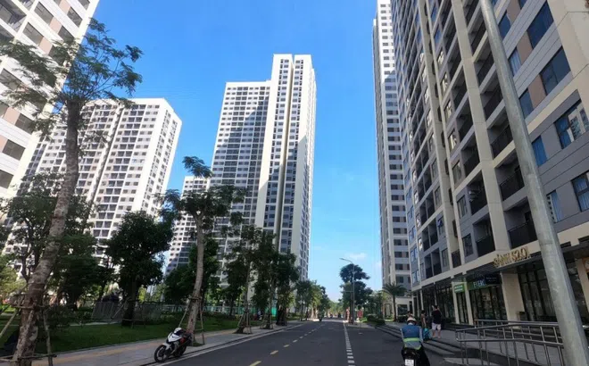 Căn hộ cho thuê hạ nhiệt, phòng trọ gia tăng lượng tìm thuê