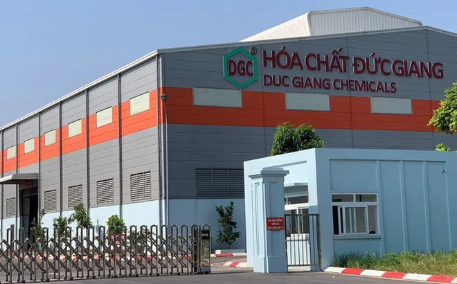 DGC thoát sàn trong phiên, thanh khoản bùng nổ nhưng vẫn giảm kịch biên độ