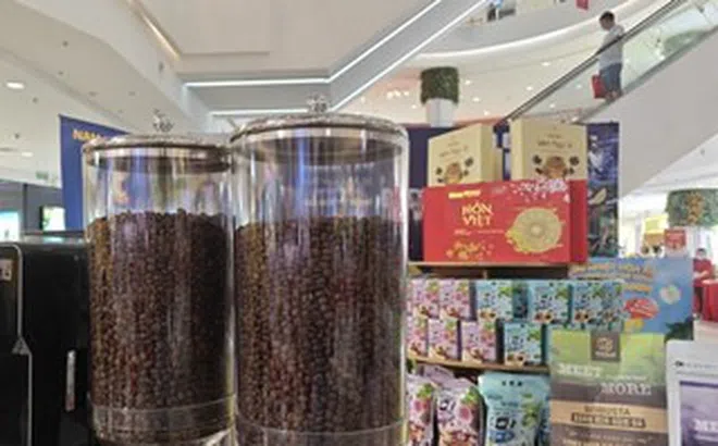 Giá cà phê hôm nay 4-4: Không thể chỉ trông đợi vào giá