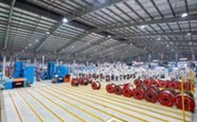 GELEX Electric và chiến lược sản phẩm ‘Go Global’