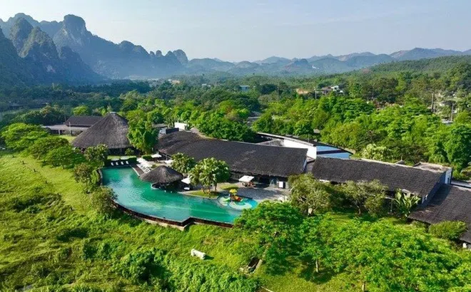 Mặt Trời Hòa Bình chủ động cơ cấu nguồn vốn, kỳ vọng dài hạn vào đầu tư bất động sản