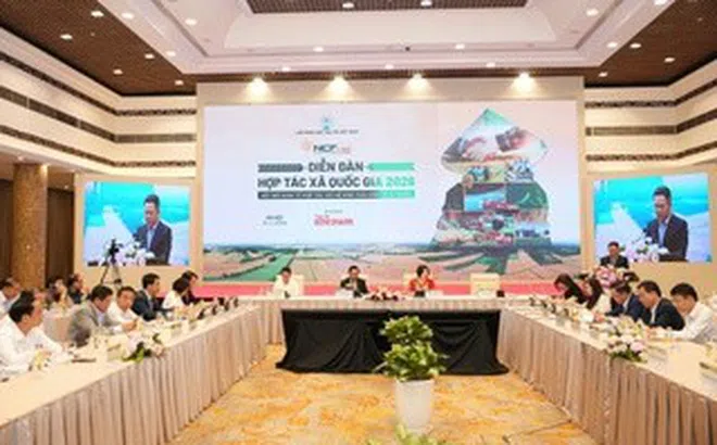 "Bắt tay" phát triển chuỗi giá trị bền vững