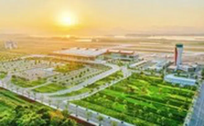 Sếu đầu đàn trong công cuộc chinh phục bầu trời