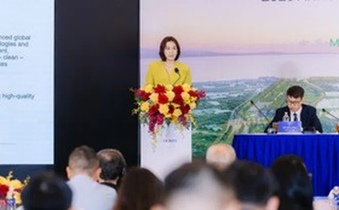 ĐHĐCĐ Vinhomes 2026: Tăng mạnh kế hoạch kinh doanh sát ngày họp, lãnh đạo nói gì?