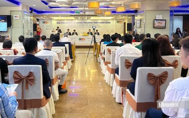 ĐHĐCĐ CEO Group: Tỉ lệ tham dự 33%, sát ngưỡng tối thiểu để tổ chức lần 2