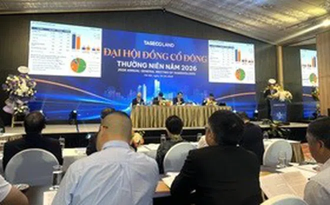 ĐHĐCĐ Taseco Land: Dồn lực triển khai loạt dự án, chuẩn bị nguồn thu dài hạn