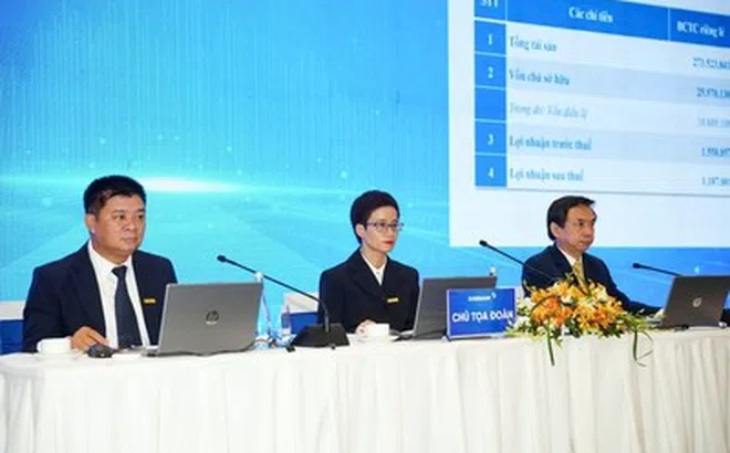 Cổ đông chất vấn vai trò của cổ đông lớn, Eximbank khẳng định không can thiệp điều hành