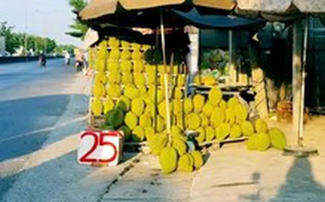 Sầu riêng rớt giá, bày bán đầy đường chỉ từ 25.000 đồng/kg