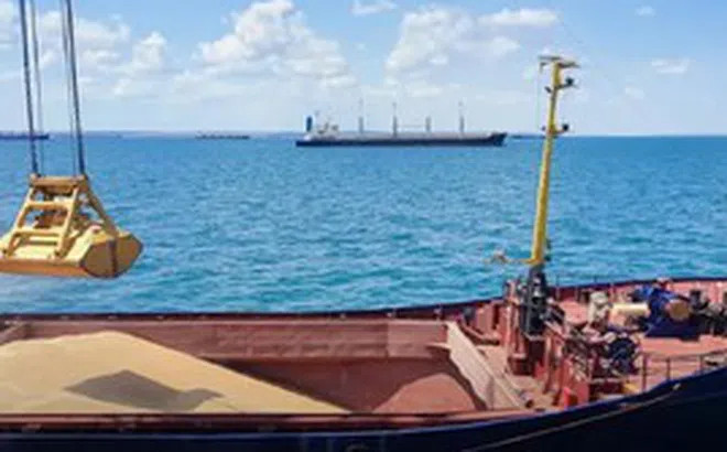 Israel dừng dỡ hàng từ tàu chở ngũ cốc của Nga