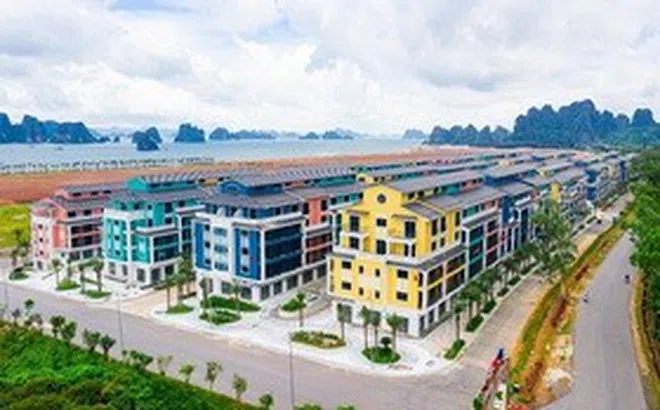CEO Group đang "găm" gì trong 1.474 tỷ đồng tồn kho?
