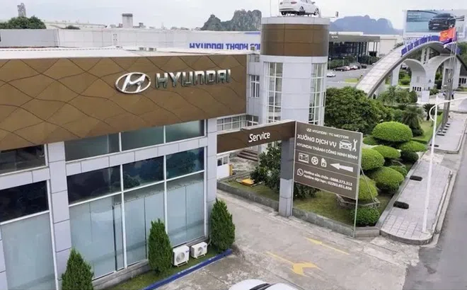 Doanh thu trên 1.000 tỷ đồng vẫn báo lỗ, công ty con TC Group vào "tầm ngắm" rà soát thuế