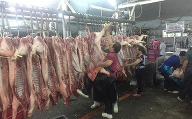Giá heo hơi hôm nay, 9-5: Tăng ở nhiều khu vực