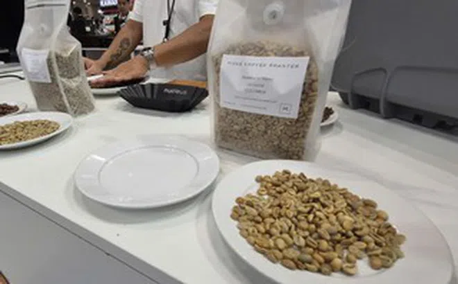 Giá cà phê hôm nay 8-5: Robusta tăng phiên thứ 3