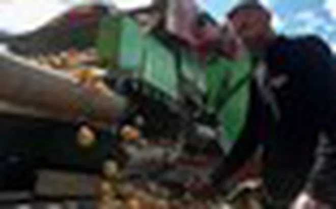 Chuyện thật như đùa: Nền kinh tế 23 nghìn tỷ USD 'sốc' trước một mặt hàng tăng giá 700% trong vài tuần dù không thiếu hụt 1 gram