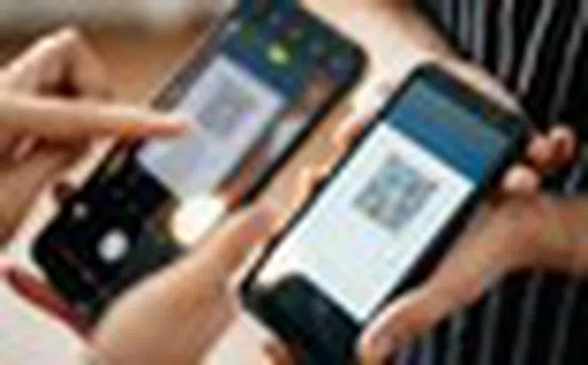 Ngân hàng cảnh báo tất cả khách hàng nhận được thông báo giao dịch chuyển tiền bị treo