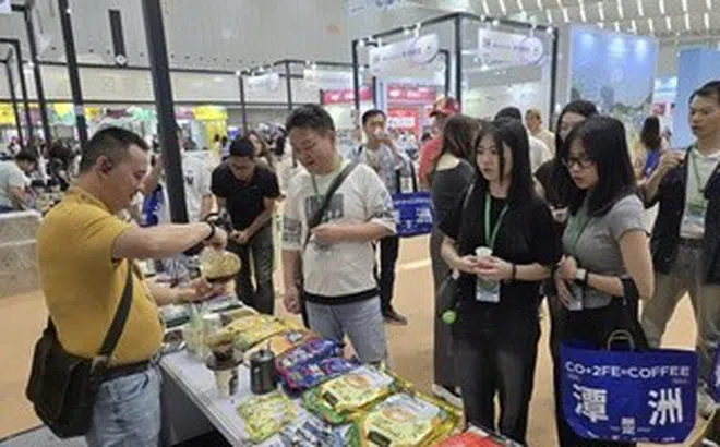Sức hút của thị trường cà phê Trung Quốc