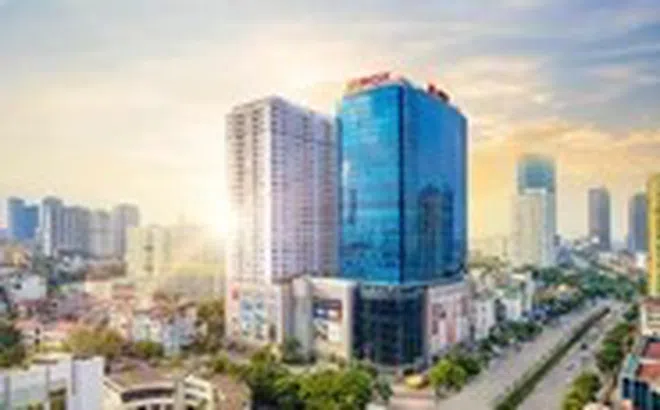 ROX Group: 30 năm từ nhà máy giày đến hệ sinh thái đa lĩnh vực