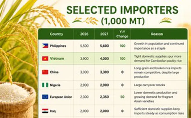Mỹ dự báo Việt Nam nhập khẩu gạo nhiều hơn cả Trung Quốc, tiếp tục xếp thứ 2 thế giới