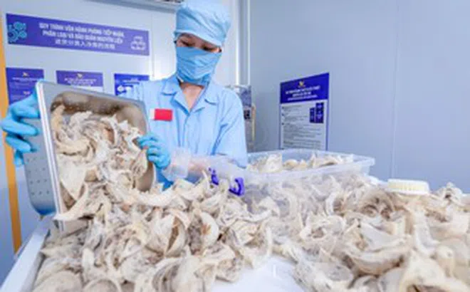 Cục Xuất nhập khẩu lưu ý thay đổi quan trọng với hàng thực phẩm vào Trung Quốc từ 1-6