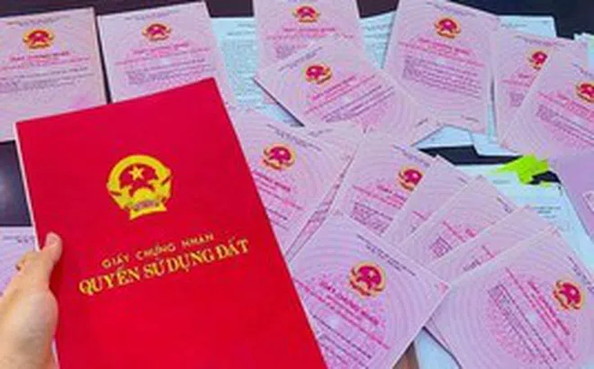 Cơ quan thuế phát thông tin quan trọng đến người sử dụng đất: Chậm làm thủ tục này có thể ảnh hưởng quyền lợi