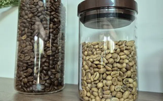 Giá cà phê hôm nay 30-5: Arabica lao dốc, người Việt uống cà phê nhiều hơn