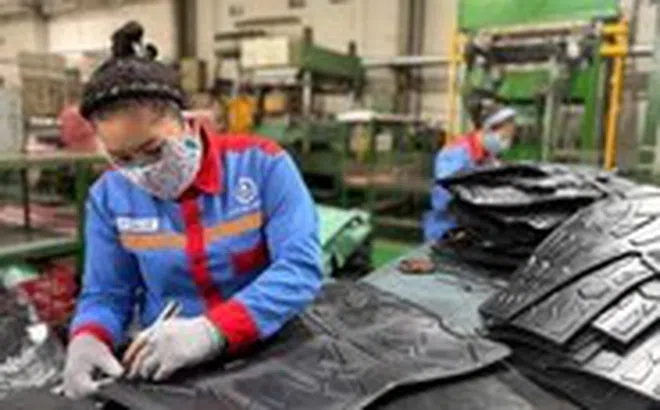 Chinh phục thị trường khó tính với sản phẩm xanh – bền vững