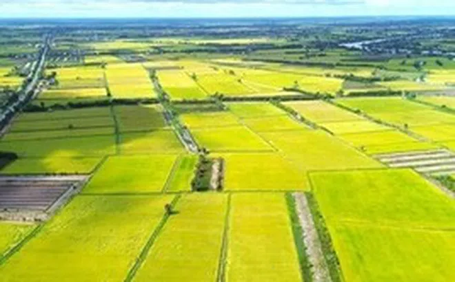 3 trường hợp được giảm 70% tiền sử dụng đất