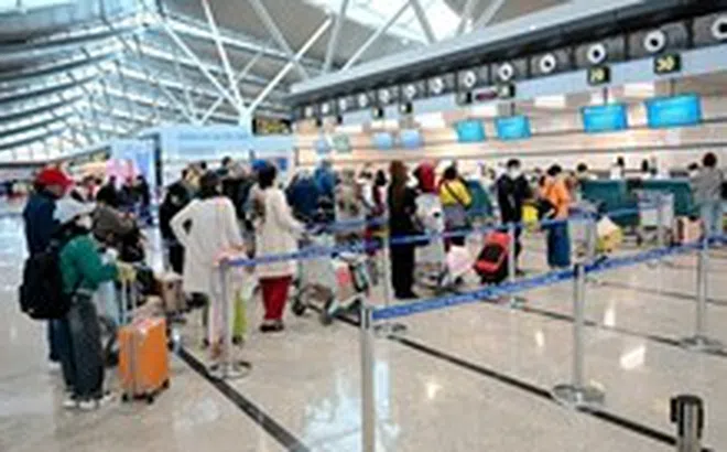 Hàng không tăng tải mùa hè, giá vé nội địa vẫn cao