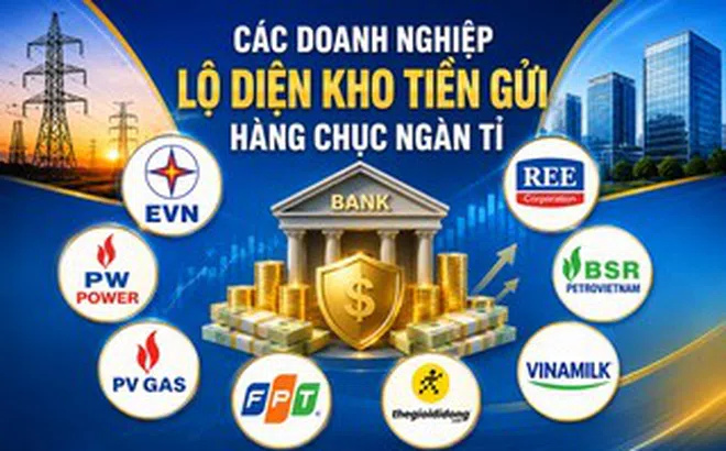Không riêng EVN, nhiều "ông lớn" cũng có hàng chục ngàn tỉ đồng gửi ngân hàng