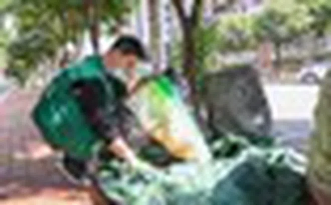 Phát hiện 1 chuyên viên phân tích tài chính bỏ việc kiếm hơn 77 triệu đồng/tháng nhờ thu mua phế liệu
