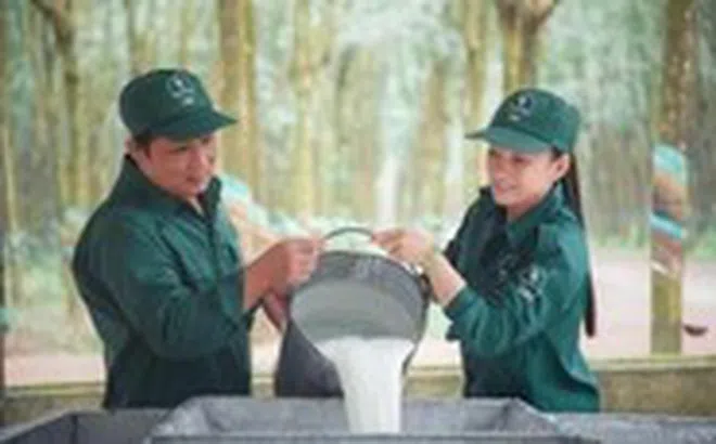 VRG hiện thực hóa mục tiêu tăng trưởng hai con số