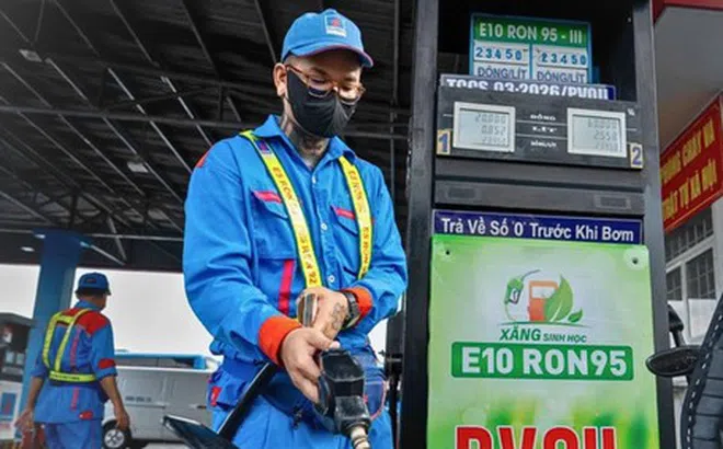 Chính phủ yêu cầu tăng cường giám sát, đảm bảo chất lượng xăng sinh học