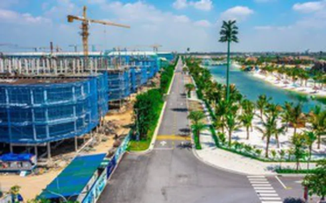Vinhomes dự chi gần 24.650 tỷ đồng trả cổ tức tiền mặt