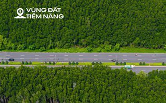 Toàn cảnh khu rừng rộng bằng 1/3 nội đô TP.HCM, ôm trọn siêu đô thị 10 tỷ USD của ông Phạm Nhật Vượng