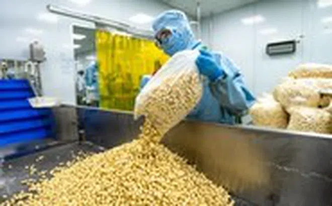 Từ bỏ tư duy "phế phẩm, phụ phẩm" từ nông sản