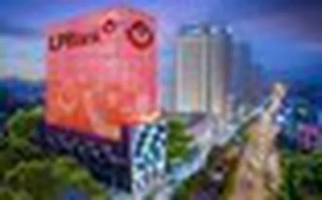 Tỷ phú Phạm Nhật Vượng sở hữu trên 1% vốn điều lệ LPBank