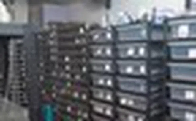 Phát hiện một căn hộ có lượng điện tiêu thụ nhiều bất thường, cảnh sát ập vào, chứng kiến cảnh tượng rùng mình