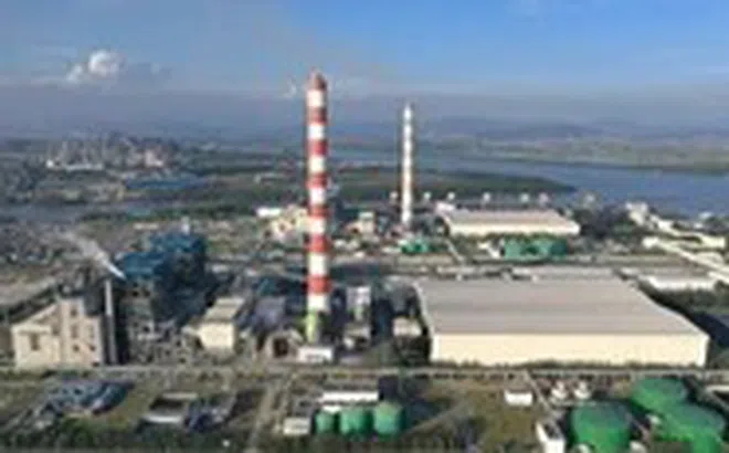 Nhiệt điện Hải Phòng có động thái mới liên quan đến Chủ tịch hội đồng quản trị