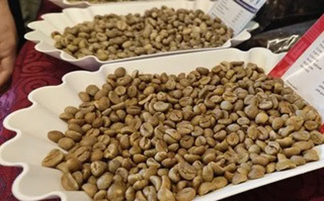 Giá cà phê hôm nay, 27-6: Robusta giao ngay vẫn "nóng"