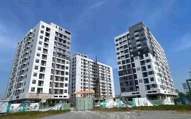 Tạm gác giấc mơ an cư vì giá vật liệu xây dựng “lập đỉnh”