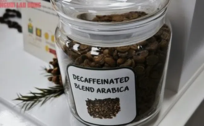 Giá cà phê hôm nay 29-6: Điều ít biết về cà phê không chứa caffeine
