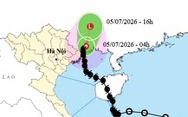 Sau 8 giờ đổ bộ Móng Cái, bão số 1 vẫn còn gây gió mạnh ven biển Quảng Ninh