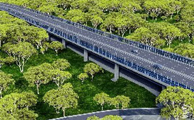 Việt Nam đang xây dựng tuyến đường xuyên rừng nguyên sinh dài 13km, kết nối cầu Mã Đà với Vành đai 4 TP.HCM, lần đầu tiên áp dụng một công nghệ đặc biệt