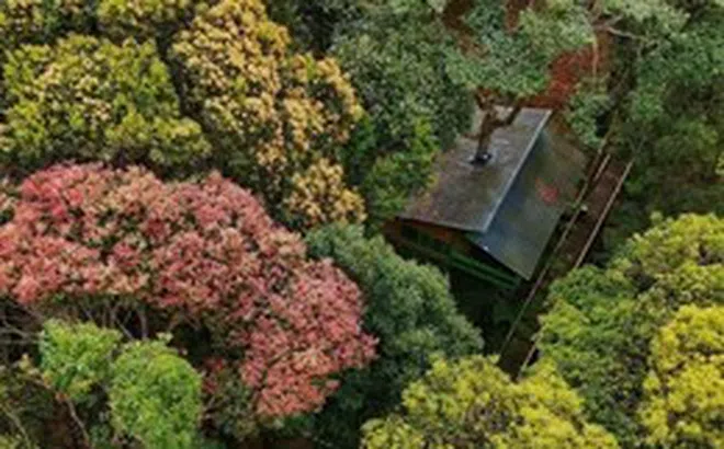 Khu nhà trên cây ở Măng Đen lọt vào đề cử Làng du lịch tốt nhất thế giới